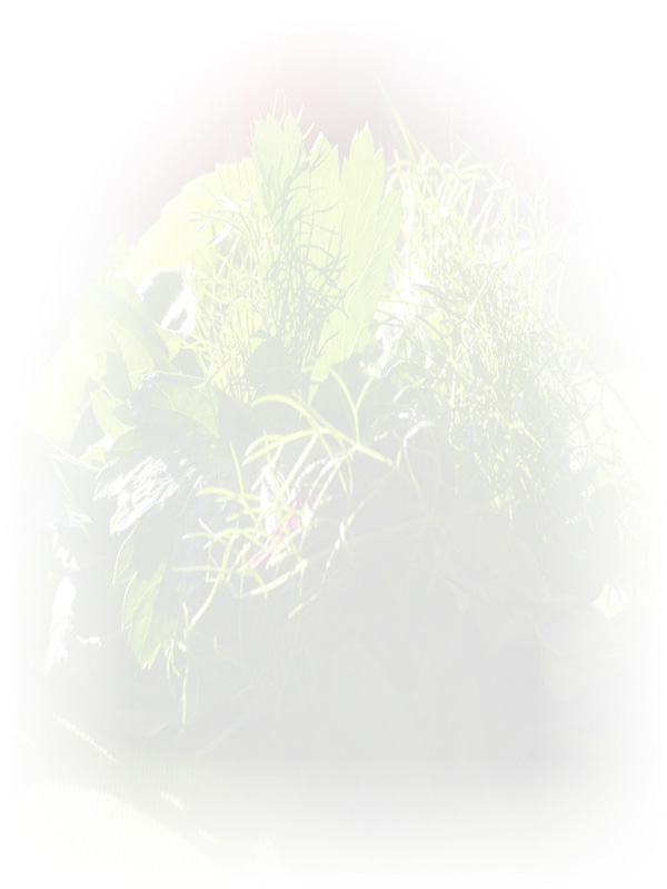 Law of Attraction Card - Image 3