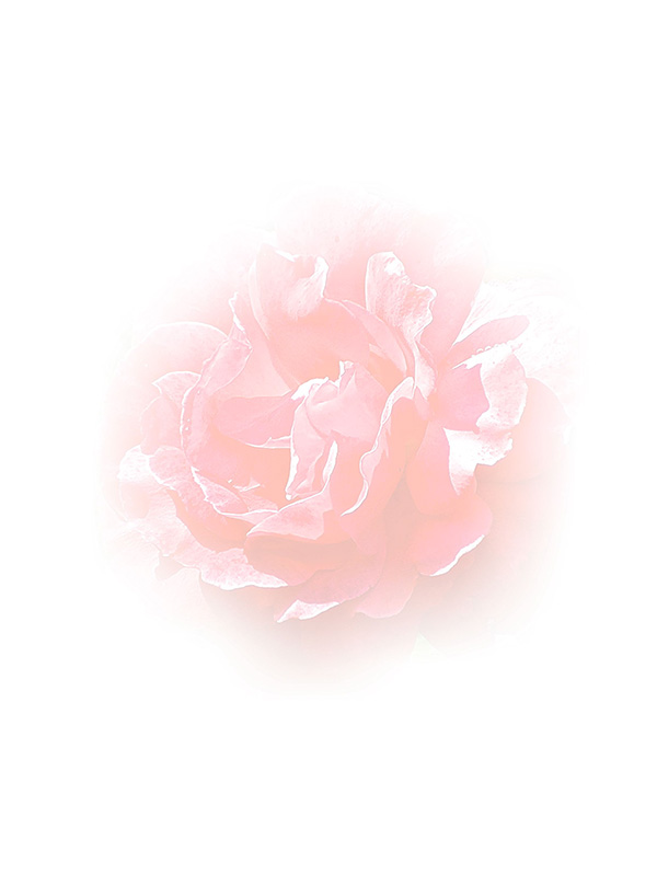 Law of Attraction Card - Image 3