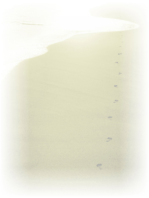 Law of Attraction Card - Image 3
