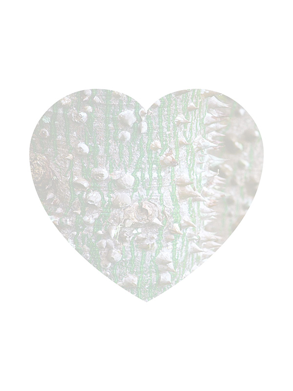 Law of Attraction Card - Image 3