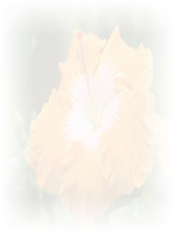 Law of Attraction Card - Image 3
