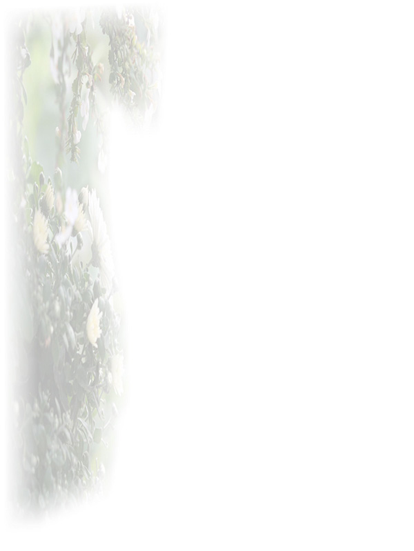 Law of Attraction Card - Image 3