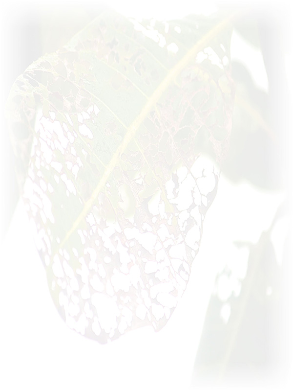 Law of Attraction Card - Image 3