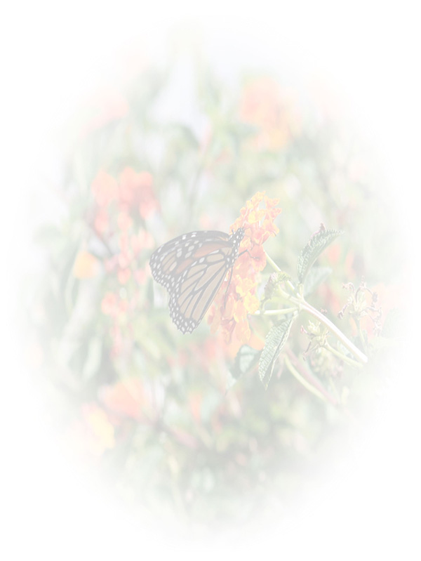 Law of Attraction Card - Image 3