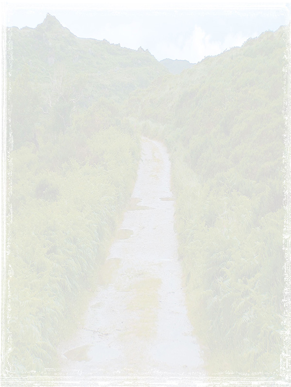 Law of Attraction Card - Image 3