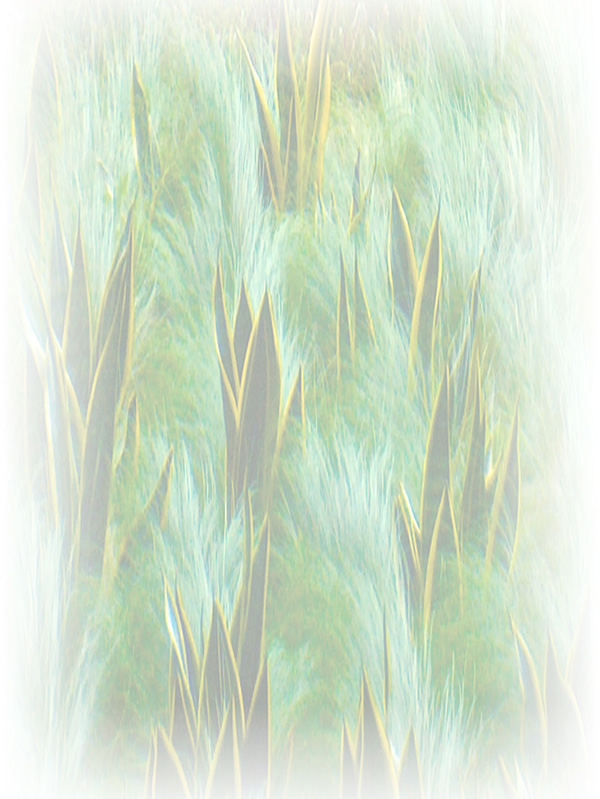 Law of Attraction Card - Image 3