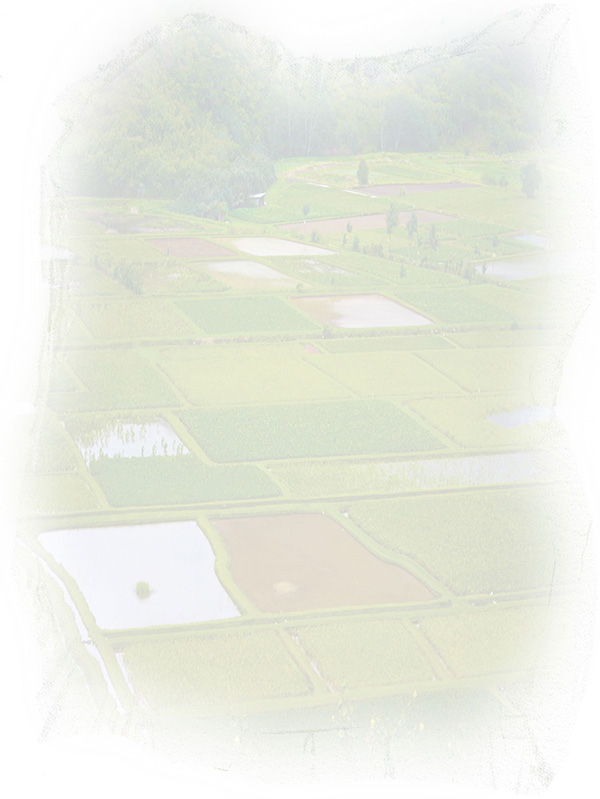 Law of Attraction Card - Image 3
