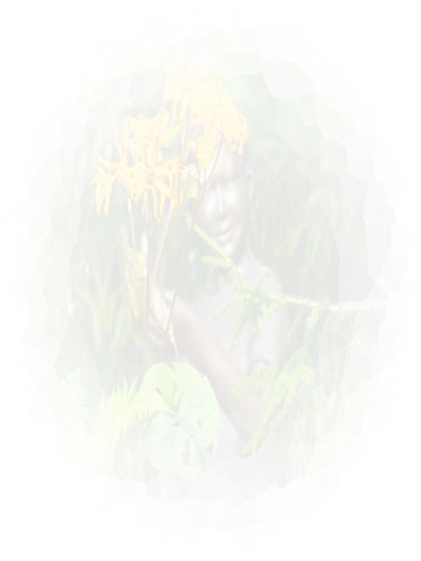 Law of Attraction Card - Image 3