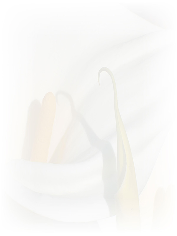 Law of Attraction Card - Image 3