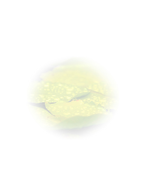 Law of Attraction Card - Image 3