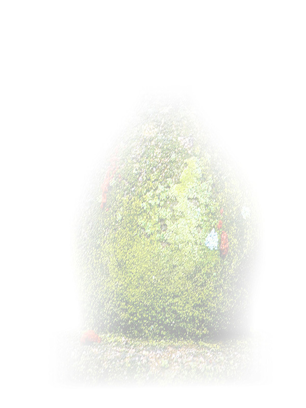Law of Attraction Card - Image 3