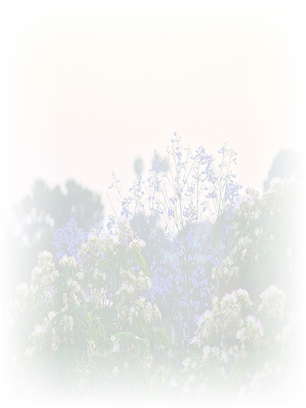 Law of Attraction Card - Image 3