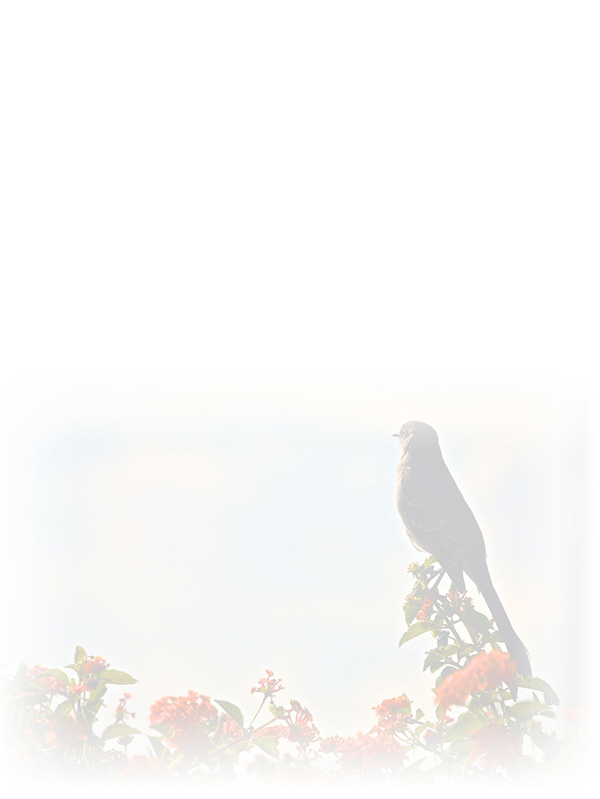 Law of Attraction Card - Image 3