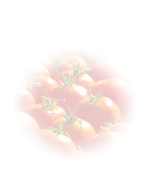 Law of Attraction Card - Image 3