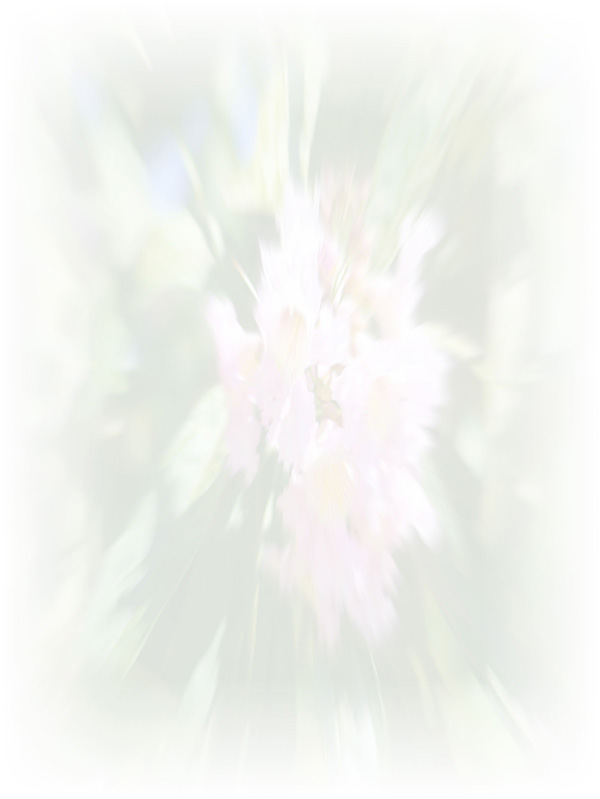 Law of Attraction Card - Image 3