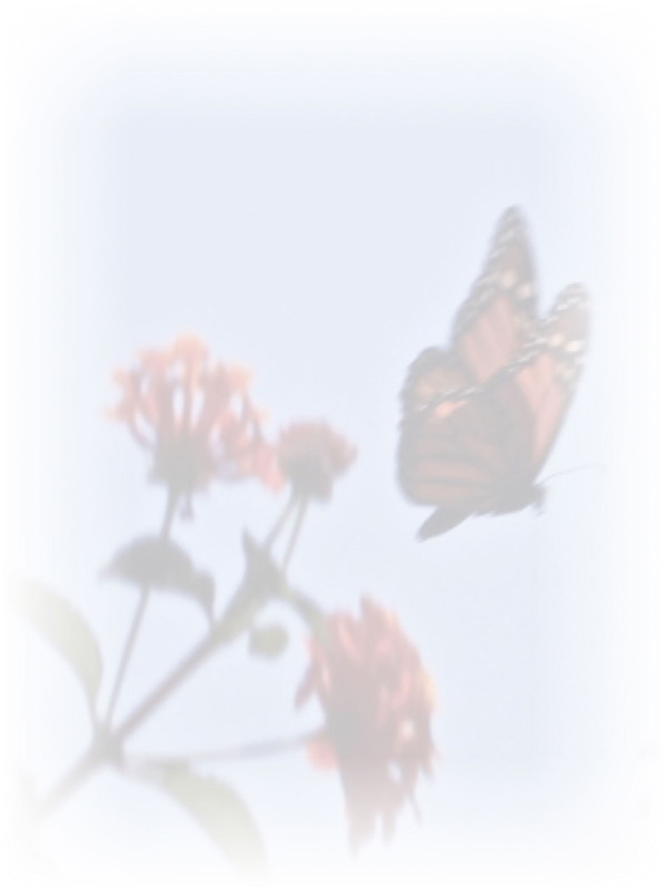 Law of Attraction Card - Image 3