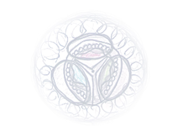 Law of Attraction Card - Image 3