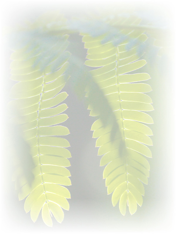 Law of Attraction Card - Image 3