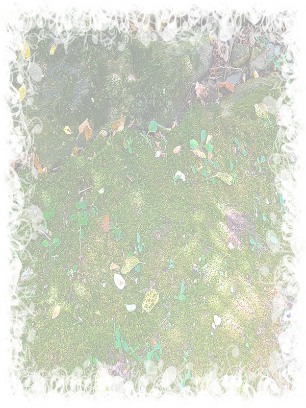 Law of Attraction Card - Image 3