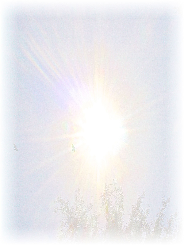Law of Attraction Card - Image 3