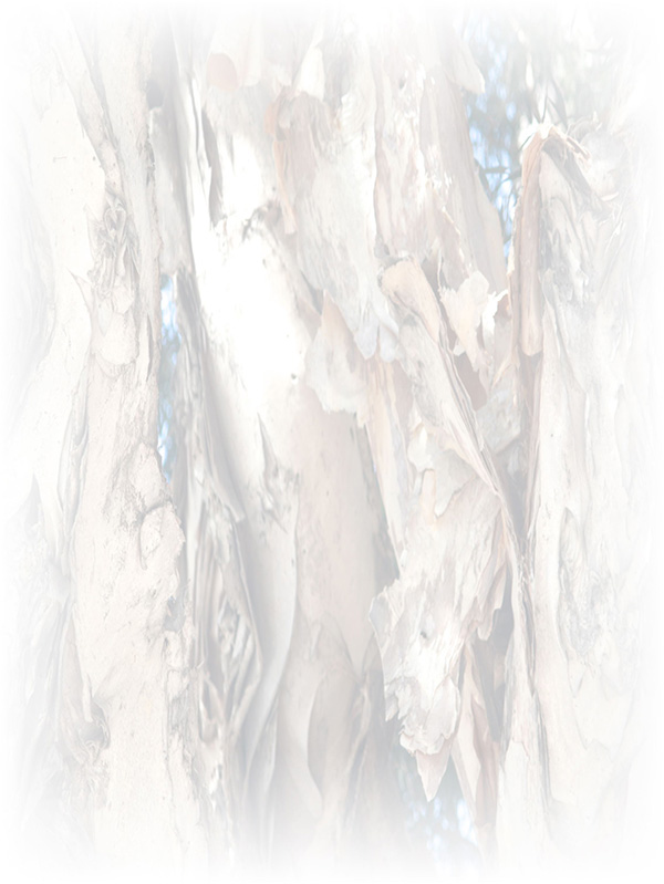 Law of Attraction Card - Image 3