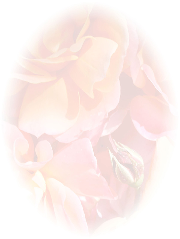 Law of Attraction Card - Image 3