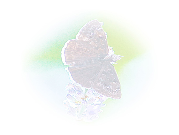 Law of Attraction Card - Image 3