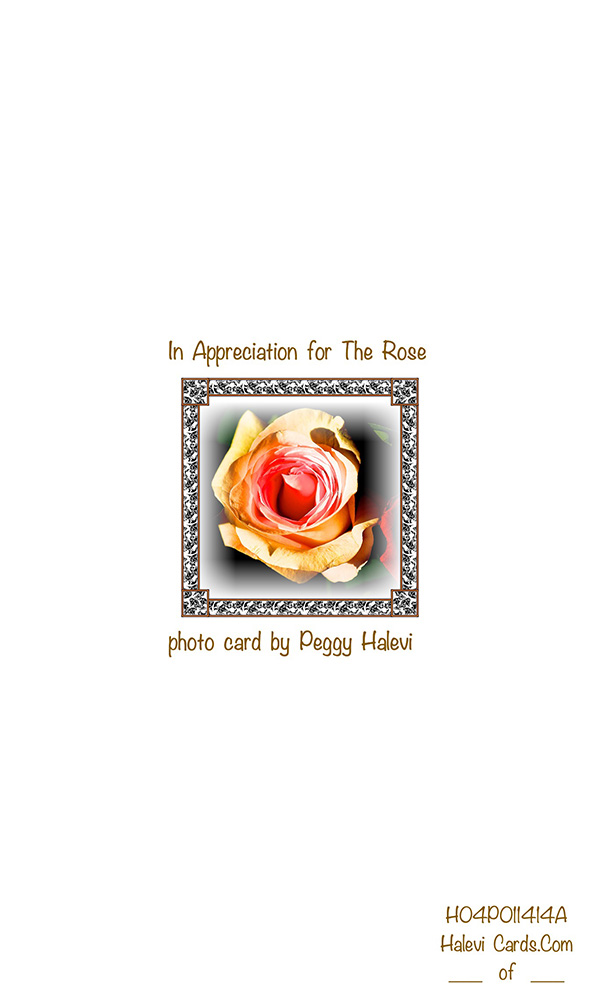 Law of Attraction Card - Image 2