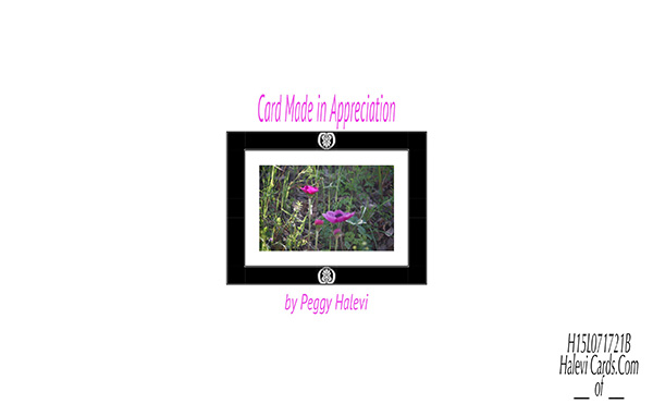 Law of Attraction Card - Image 2