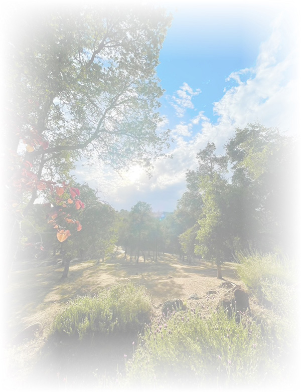 Law of Attraction Card - Image 3