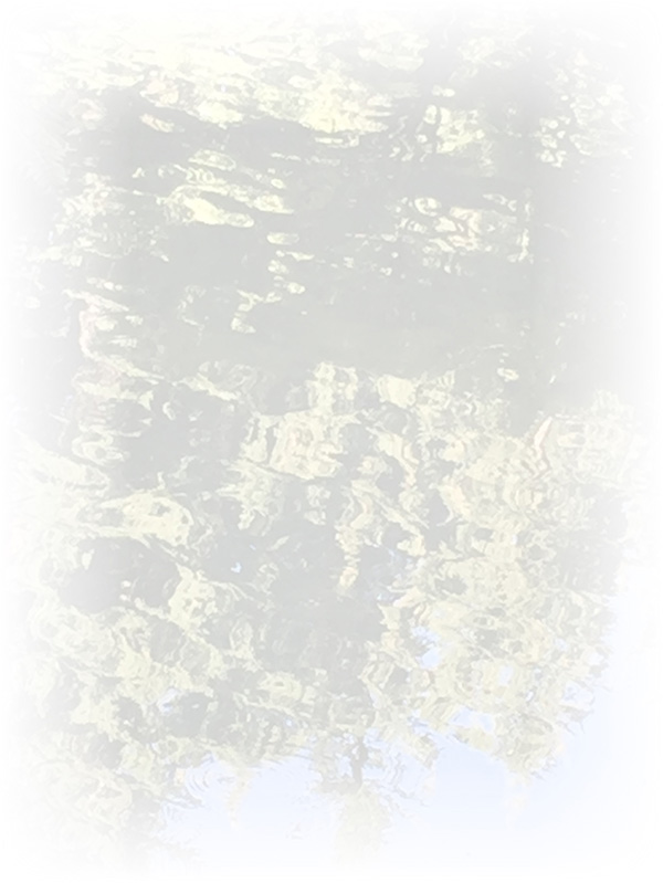Law of Attraction Card - Image 3