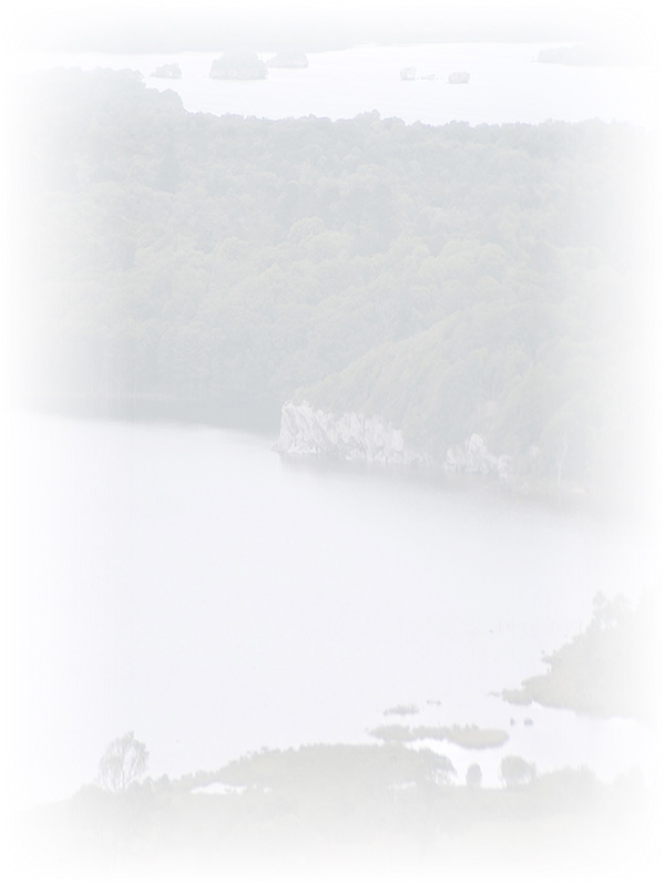 Law of Attraction Card - Image 3