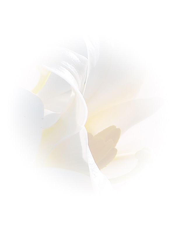 Law of Attraction Card - Image 3