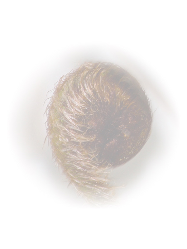 Law of Attraction Card - Image 3