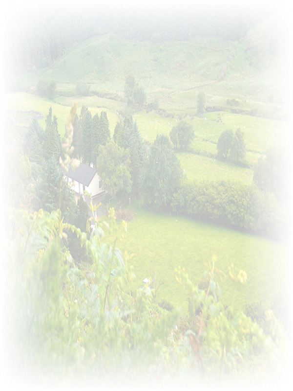 Law of Attraction Card - Image 3