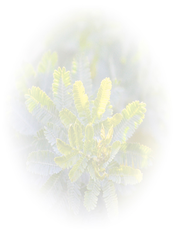 Law of Attraction Card - Image 3