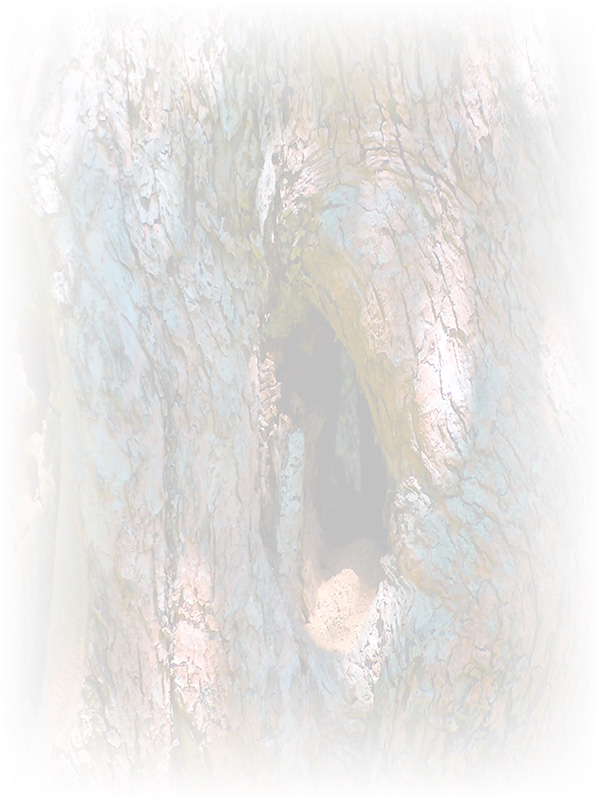 Law of Attraction Card - Image 3
