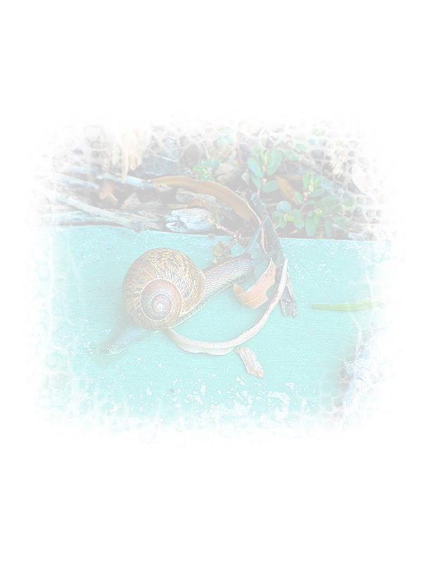 Law of Attraction Card - Image 3