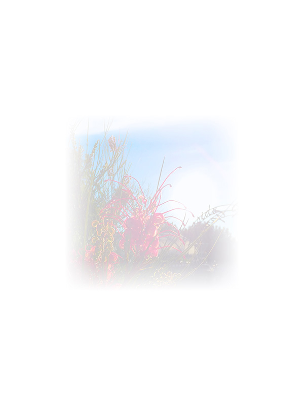 Law of Attraction Card - Image 3