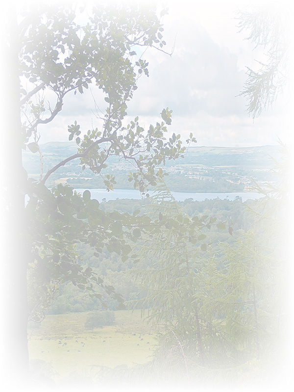 Law of Attraction Card - Image 3
