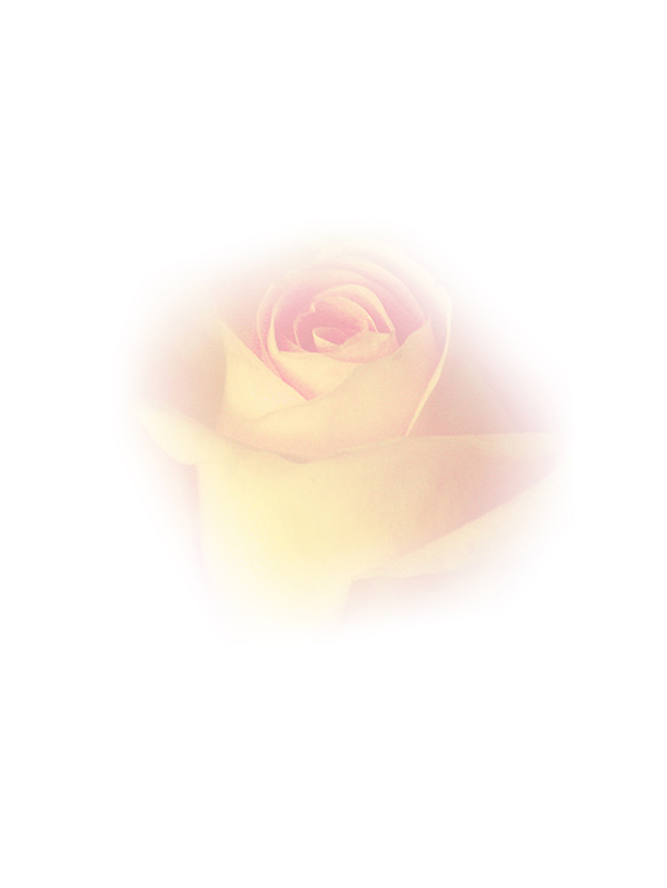 Law of Attraction Card - Image 3