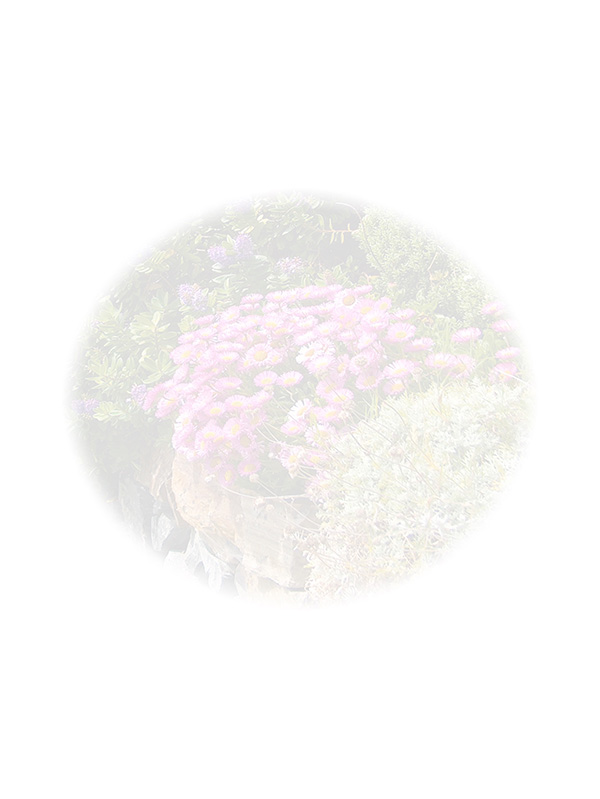 Law of Attraction Card - Image 3