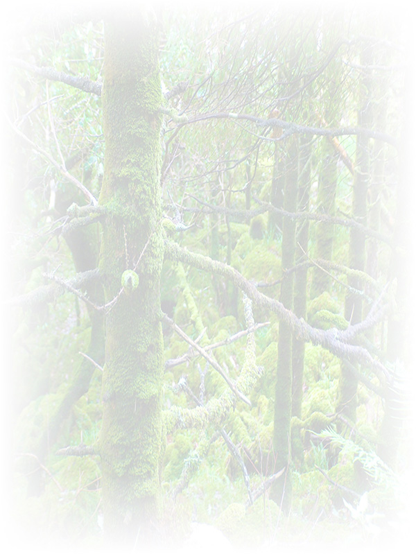Law of Attraction Card - Image 3