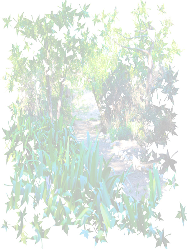 Law of Attraction Card - Image 3
