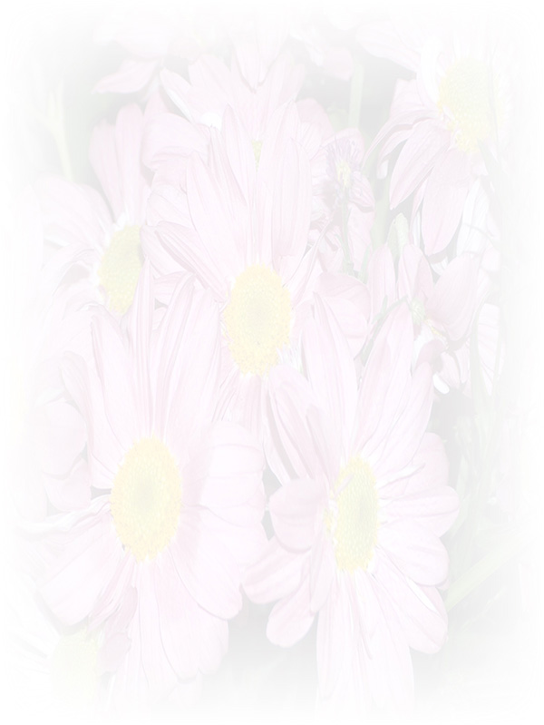 Law of Attraction Card - Image 3