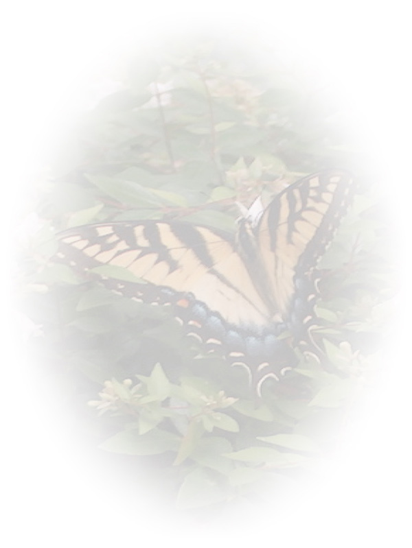 Law of Attraction Card - Image 3