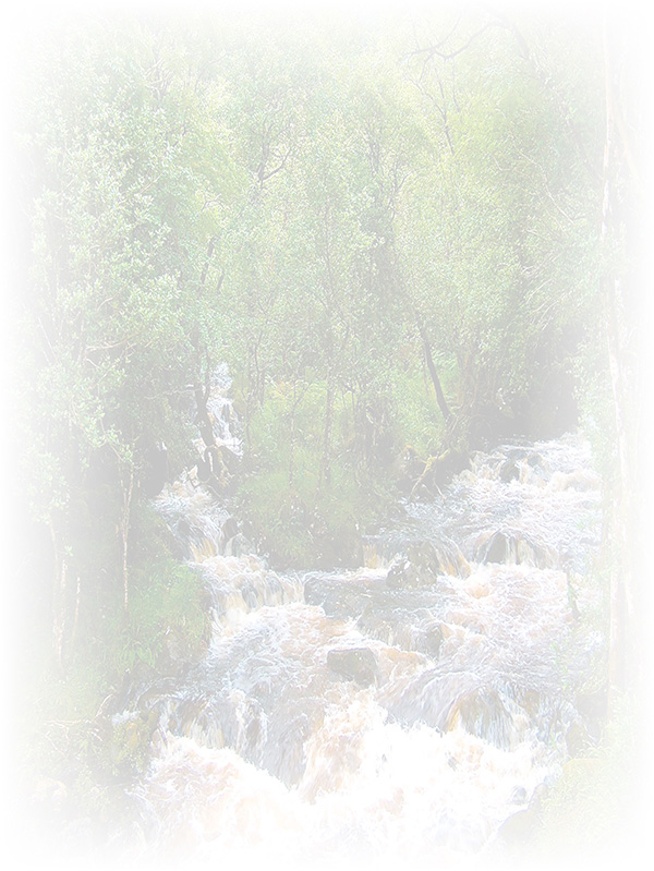 Law of Attraction Card - Image 3
