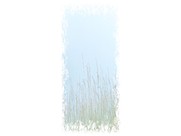 Law of Attraction Card - Image 3