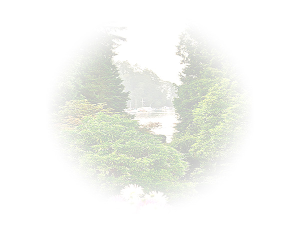 Law of Attraction Card - Image 3