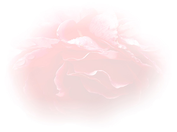 Law of Attraction Card - Image 3